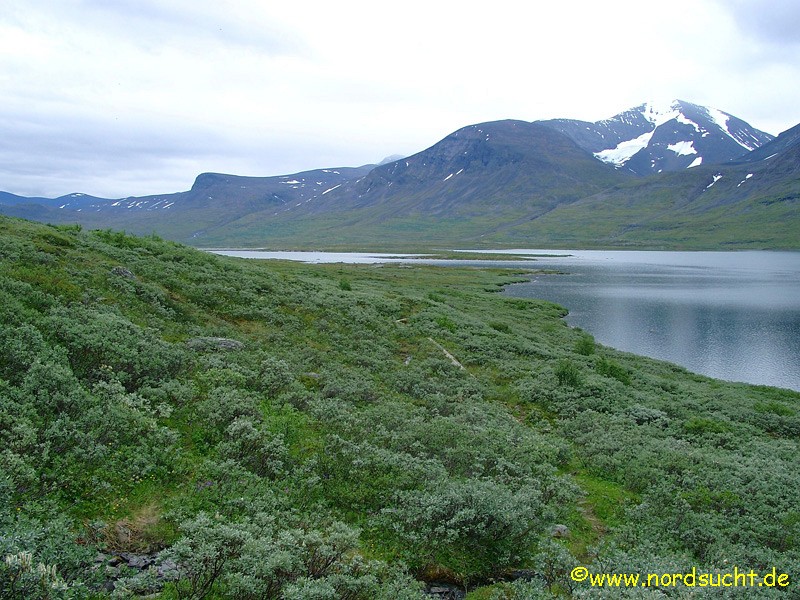 kungsleden011