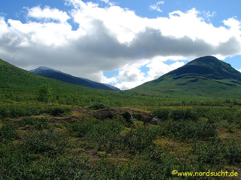 kungsleden026